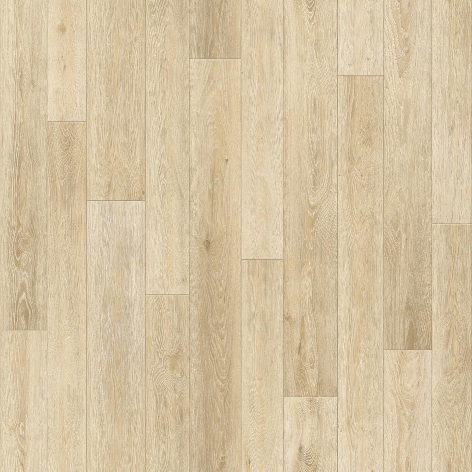 Линолеум Бытовой 3,5*30 м - Sinteros БОНУС Duncan 1