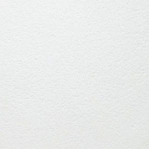 Плита BioGuard Plain Board Armstrong (BP 3684 M4) (600*600*12) (20 шт / 7.2 м2)