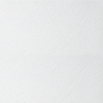 Плита минеральная BioGuard Plain Board (0,6*0,6*0,15) (16 шт / 5.76 м2)